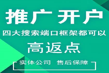百度SEO推广案例解析与效果评估